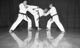 About Tendring Wado Kai karate club